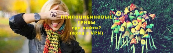 соль ск Арсеньев