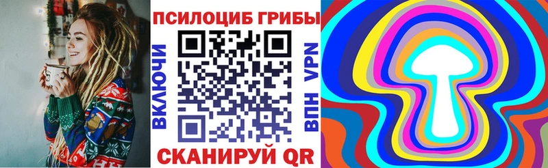 продажа наркотиков  Порхов  Галлюциногенные грибы Psilocybine cubensis 